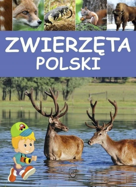 a5360f95212b01d5aaae2daabbe9daa8.jpg