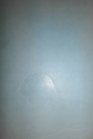 2586ccc97007d880eaf03a2fe8b4022d.jpg