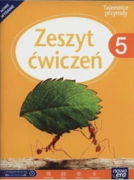 c29e81ea7cc1e421146027f7309b8e31.jpg