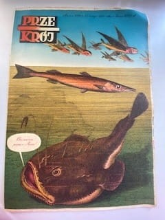 82a607ba2231e3e8c654117957f9f568.jpg