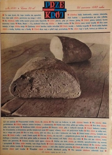 b174caf6e91facc77ec77b07943cbd81.jpg
