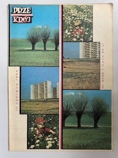 01edb2e19836fa8e59bda3313b30926f.jpg