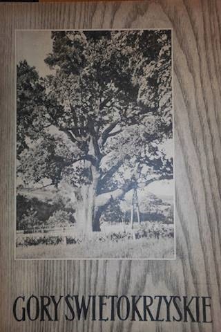 9fbdf388e57f2b477f95d9d61b96de9e.jpg