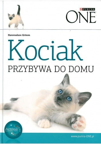 6b883ae70aa4682d6c1d2389fe982a8a.jpg