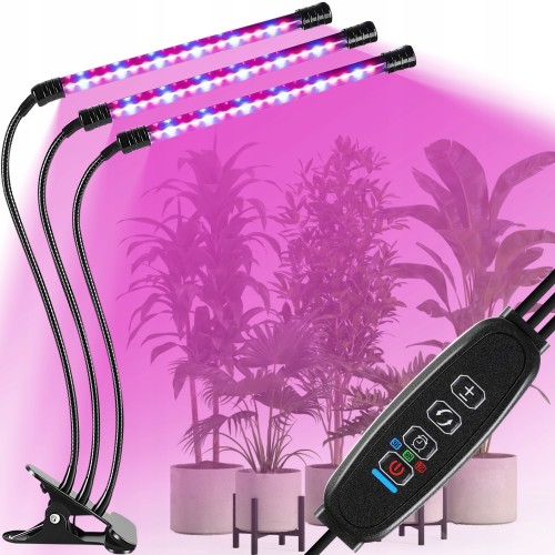 f7b3eb4dd7685c6e75a9ad3284181143