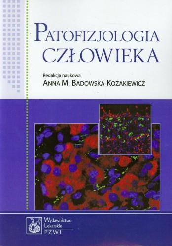 6aa287bcd949a8cea630c68713391d22