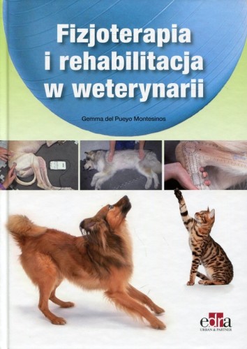 8d7a4717c66c54749851b79c2310a808