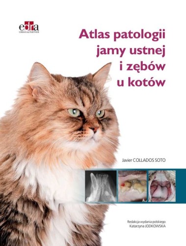 63909ca12ef5080c0d00ac0d7aae6ff5