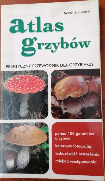 216231e745333b6b0131560b64ef66be.jpg