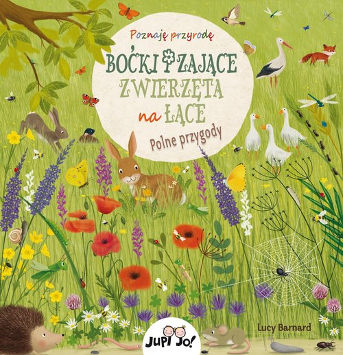 c968b44bb626b6a25e40c6a2f8822563