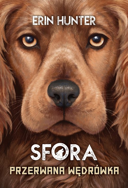 7b0cc704cd1f4953ad1b786db4c8e355
