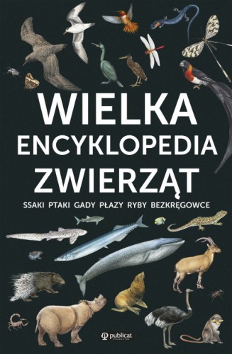 228472f92f67606795059d4d28375e13