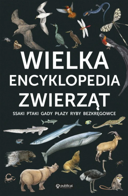 228472f92f67606795059d4d28375e13