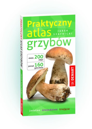 39b2809cd49438038fac296bdce4974c