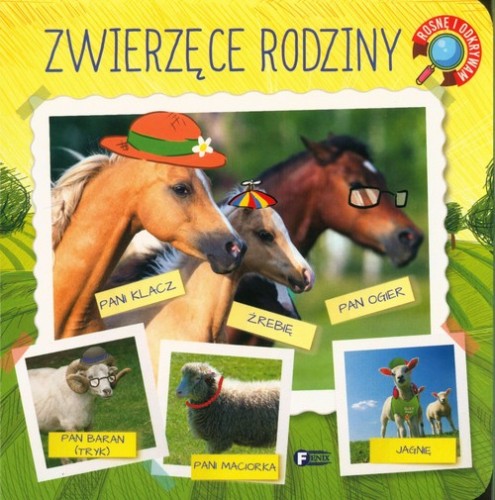 dd727c07e2b7969768055b02e708ba01