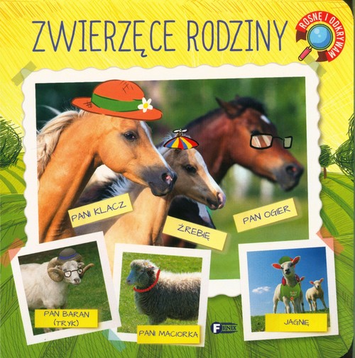 dd727c07e2b7969768055b02e708ba01
