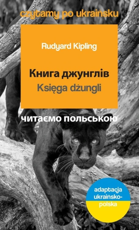 132603f6afdf177df9a12c60360823f2