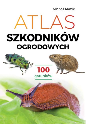 020ab9fc8b94e9c8e18415c8edc0e3c1