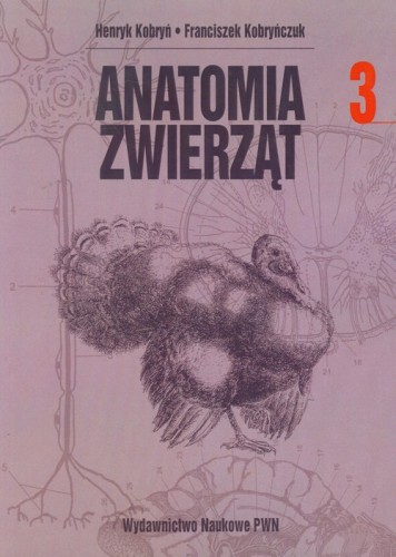 99505a4ca53711262938552aadf1d8c3