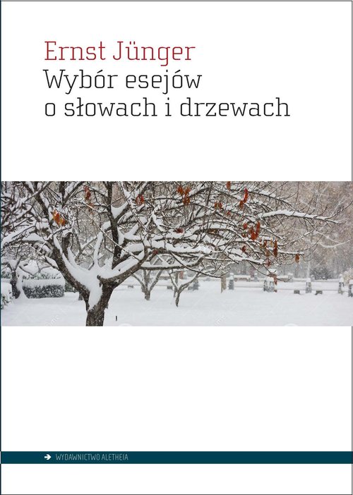 89db78253323ca77b5de35c1fd52dece
