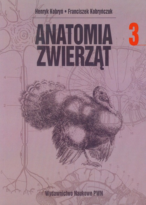 99505a4ca53711262938552aadf1d8c3