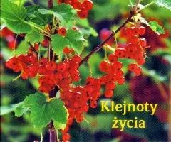 2309ad524034e30214d775c4fc13e532