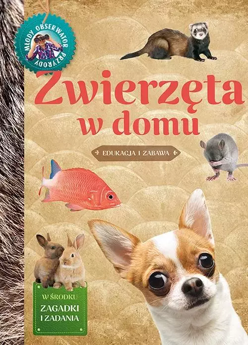 24a8d07d52491446aa68d57080122556