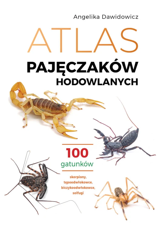 150c1ca8da0215cf2722b893164e8300