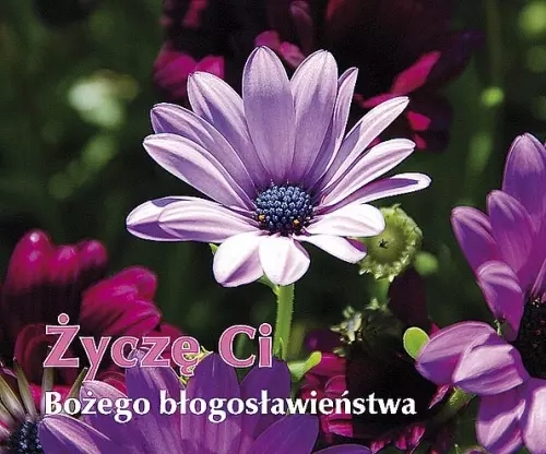 5e319768d1e7a69b268f3ff7834e333f
