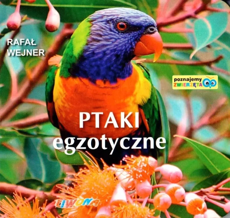 40d4ee371b014a5ac475250c3fa995b2