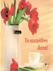 1ab1fff3cc3c38659b41b3fda756fbb7