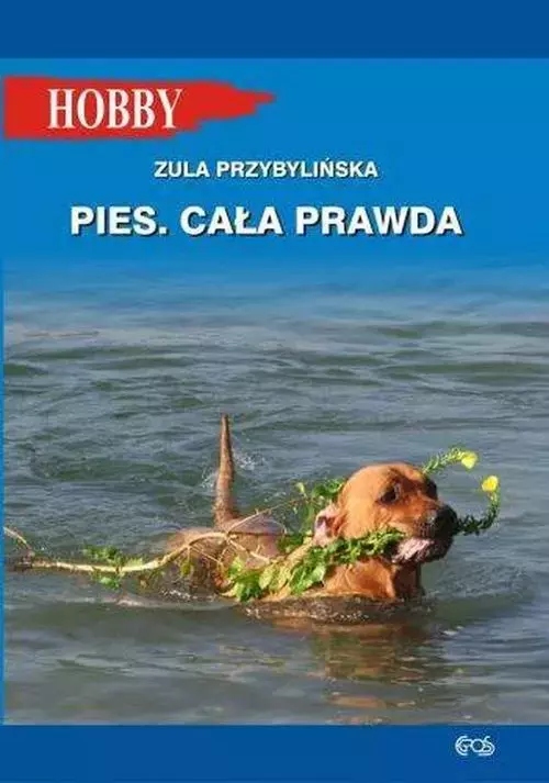 4e801050e7f67ce5ae49aa91336b0320