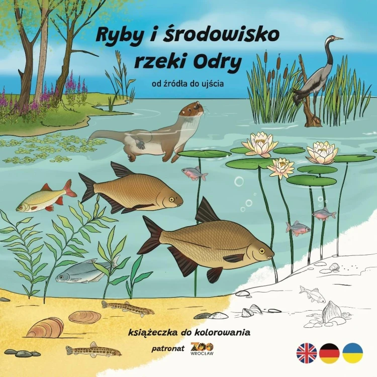 aea0f1095c3e48e3ae4eaac3417fa98a