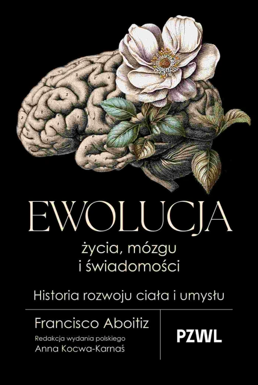 91e1a0b17d66d5a1b4cca82d2dc128ab