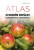 61bef287d5d400df4b26ecf365a14092
