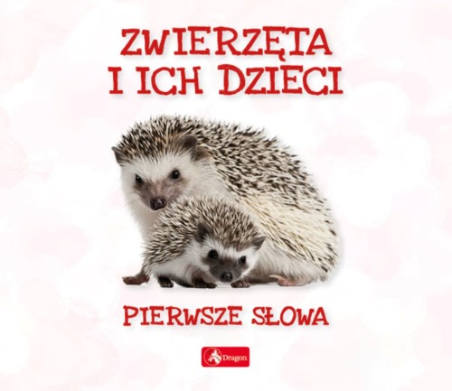 dba2f6c9c934634dbb36fb52adbbb1e5
