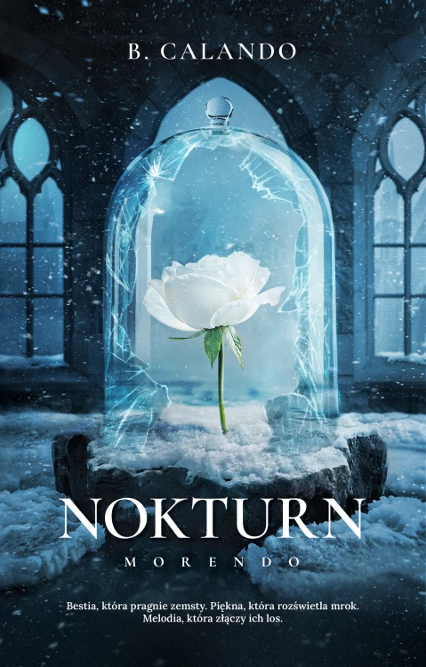 8ea6f82f2a95fbbe148974584fce17cf