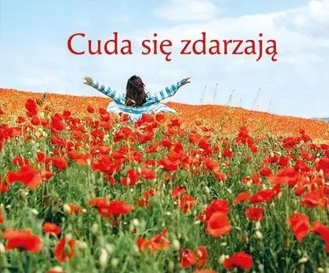 c14c87a67bda56fa33929a1ddbb37858