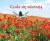 c14c87a67bda56fa33929a1ddbb37858