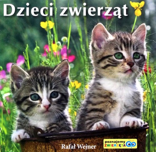 71df4778a777073a02660c9dd7021b79