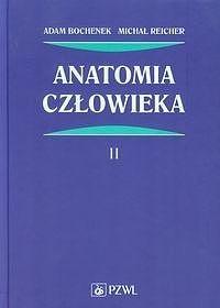 ac822c8f4cbcd54d7aa2e759739dc2e9