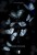 7534f91ec43ff71135b139c66d601548