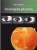 d9fa8f27092facb7ba8fedb87e80d98f