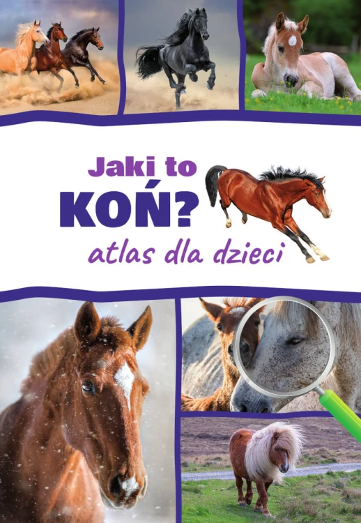 eacd09396fd8f304beaed9158eabd6b3