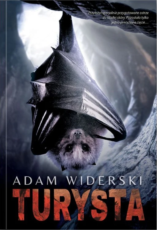 a095b35b581503862357e8cf295666d9