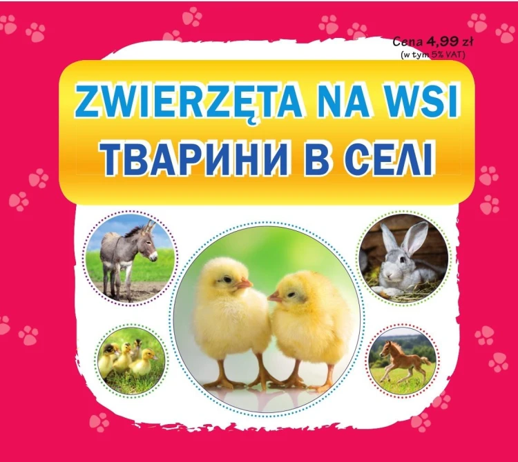 0379b70b8671a7691635c434e95b389d