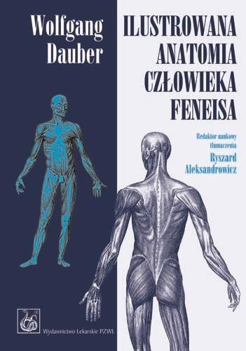 d19e7ac6b06b4a17be7e4f07e3cb8e5c