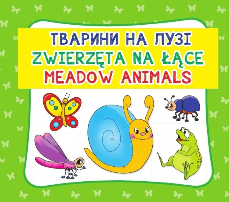 2d8318c48c8ba1ef1227c5247c3ce496
