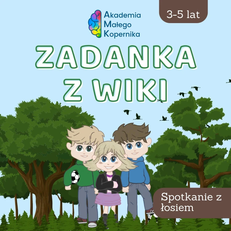 76a502d1d37ea2856df431027dcaf6ae