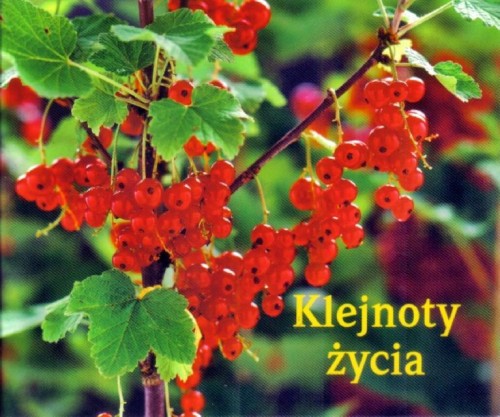 f69baf6a59ce1ab08a9f547956ec98e3